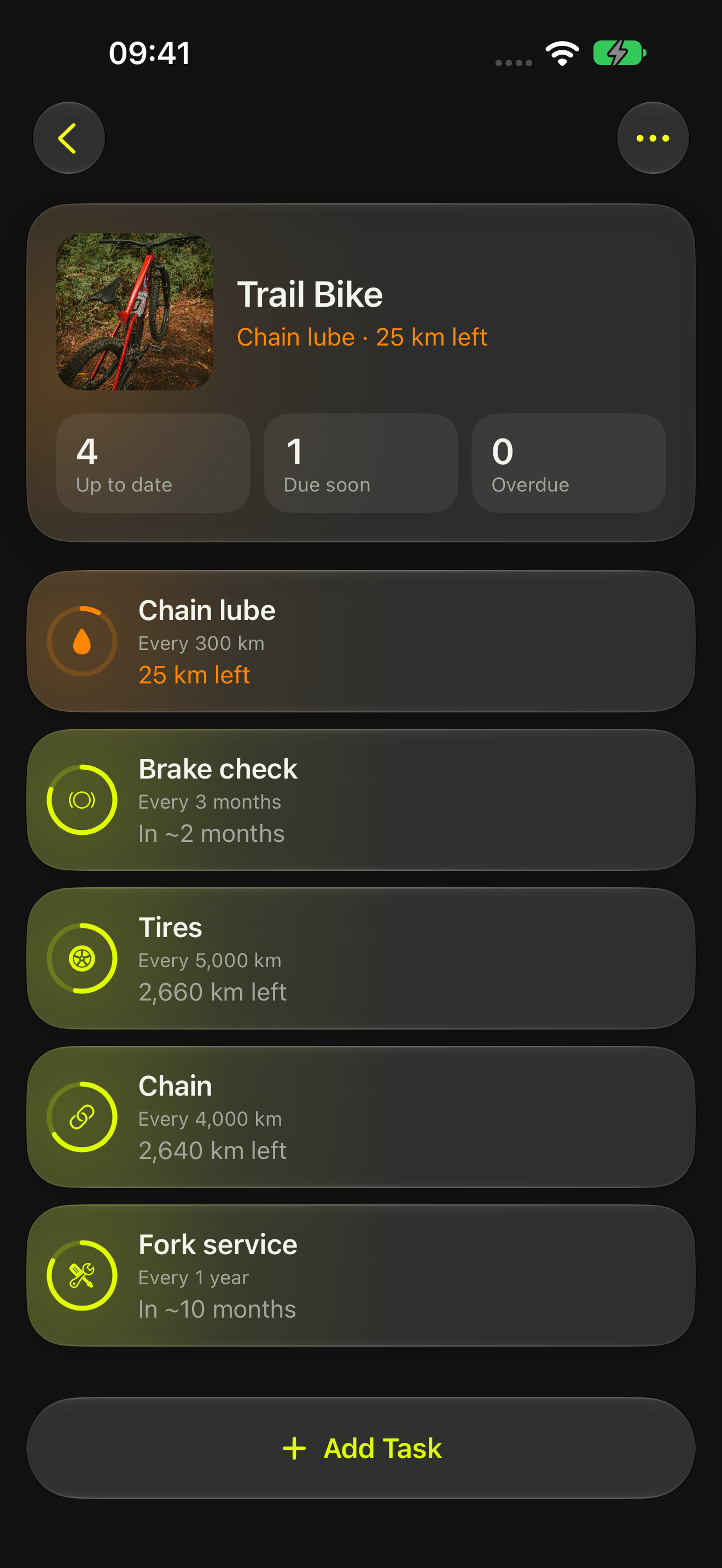 Five Trail Bike maintenance tasks: chain lube due soon, brakes, tires, chain and fork in good condition